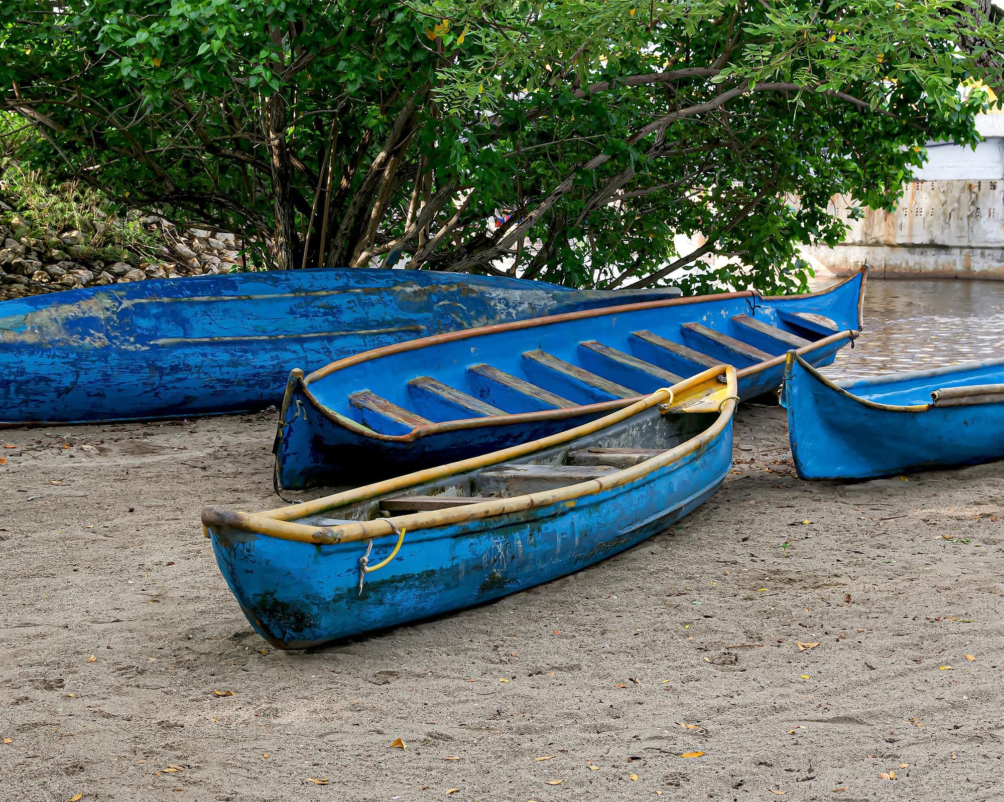Tolú y Coveñas Sensacional