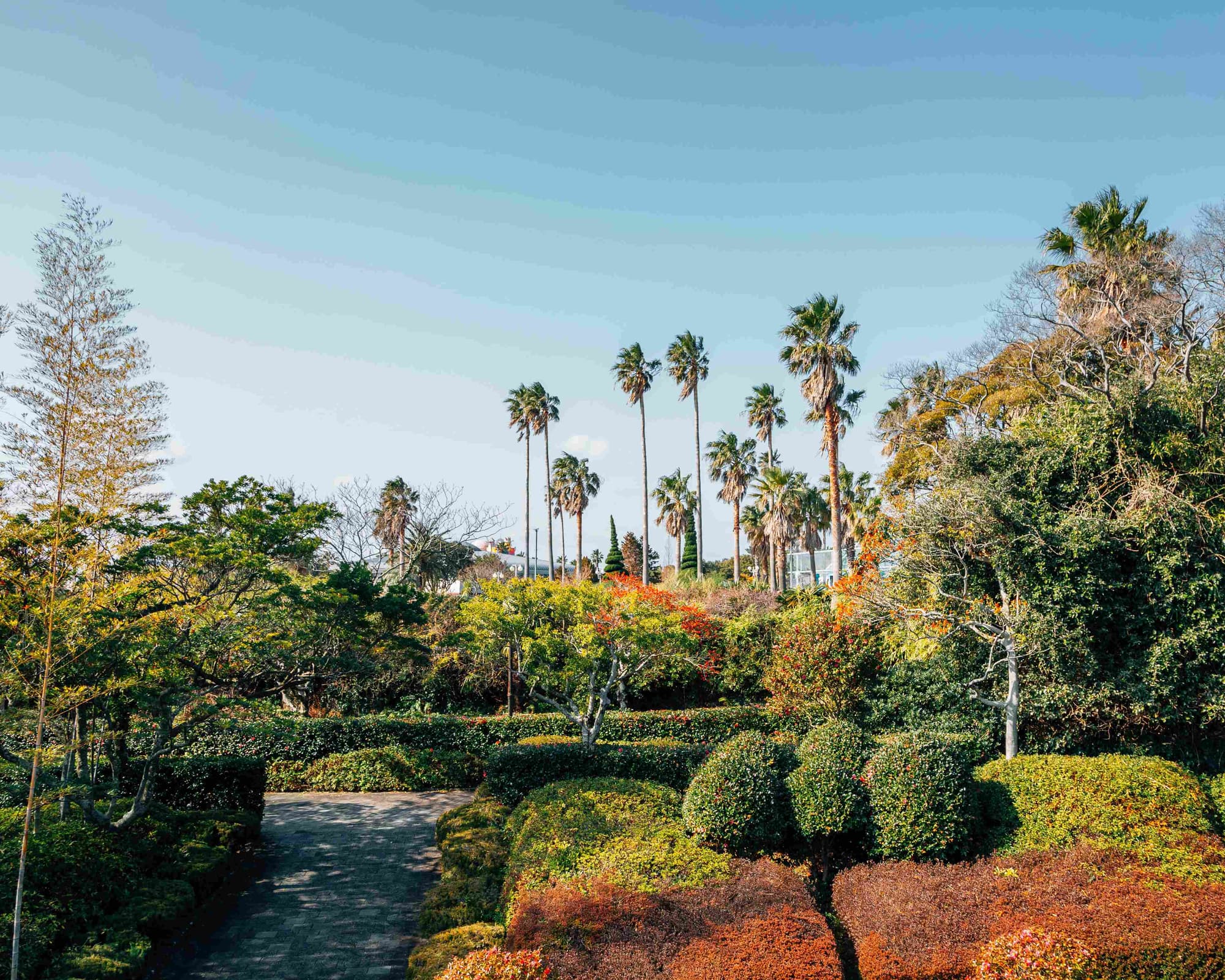 Seogwipo, Corea del Sur