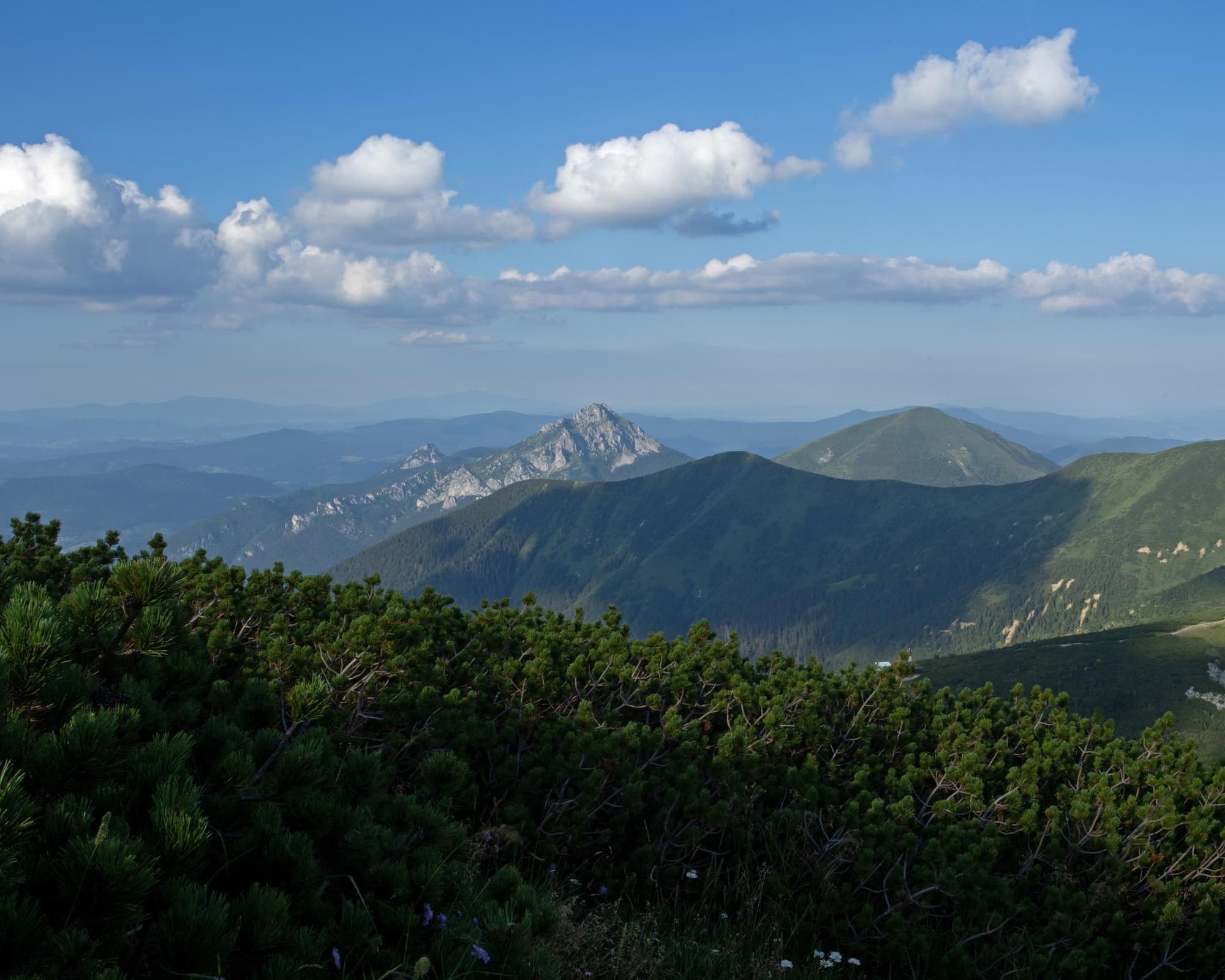 Best of Africa's Wildlife: Cape Town, Kruger, Hwange, & Chobe