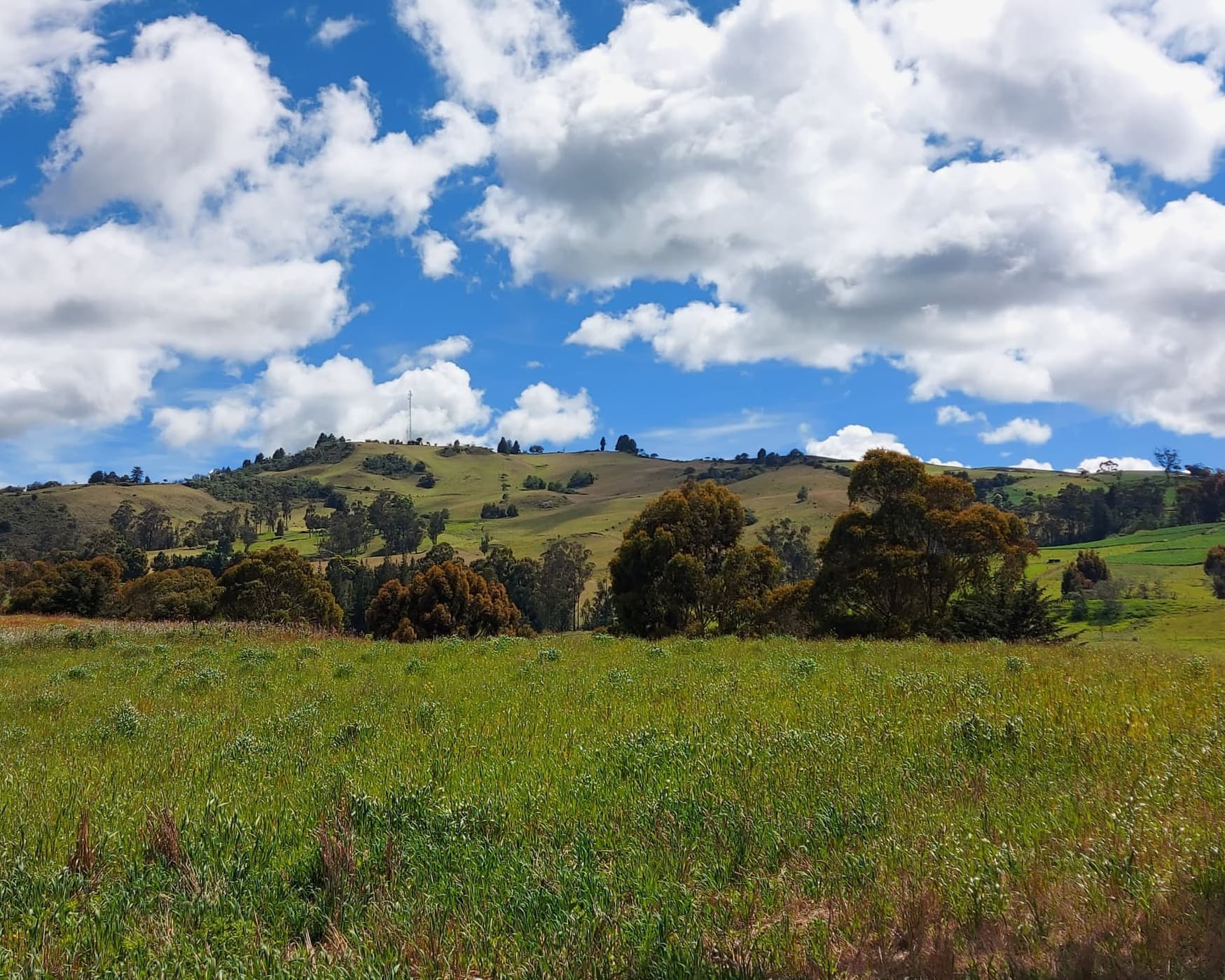 Сабанета, Антиокия, Колумбия