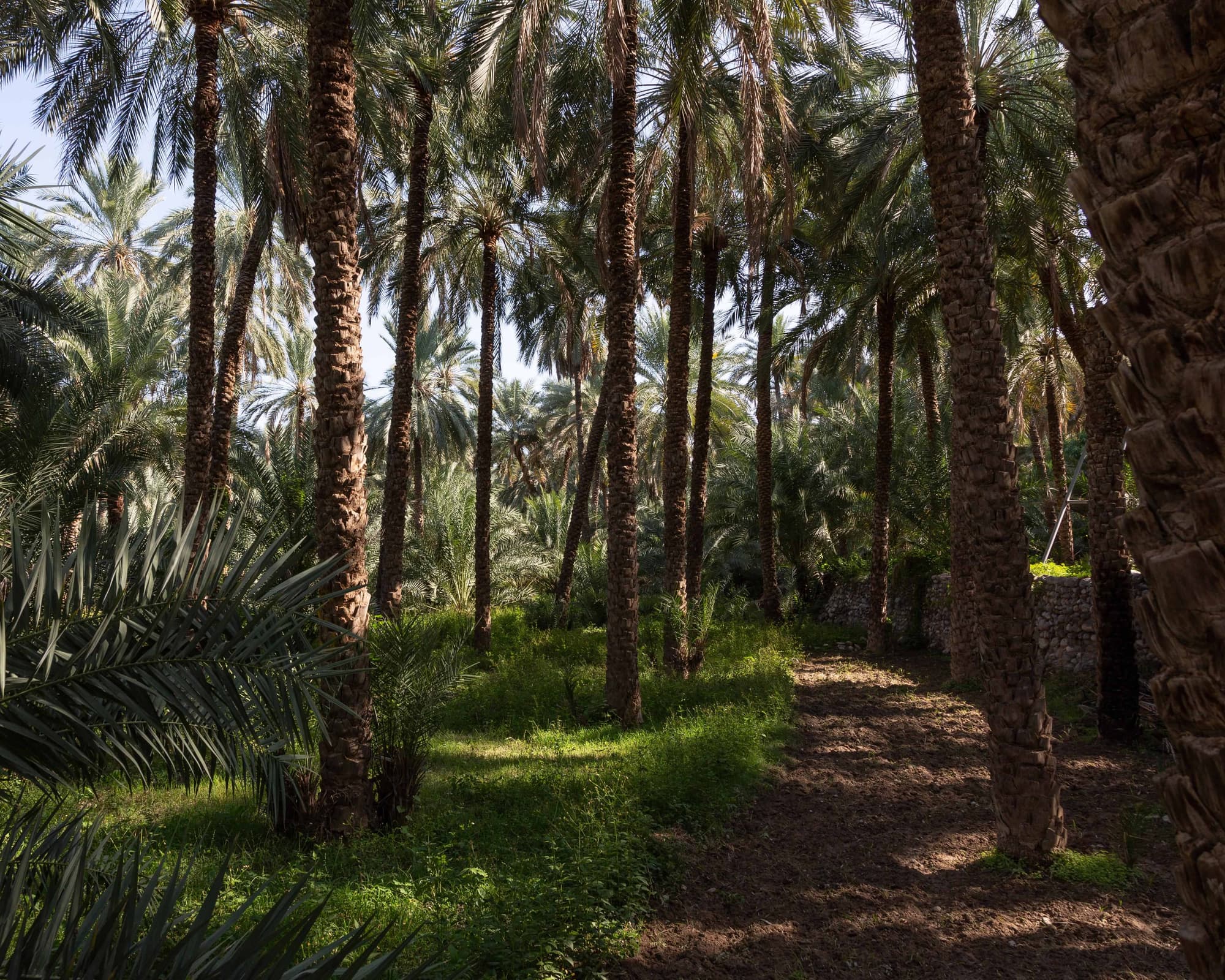 Vadi Əl Abyad, Oman