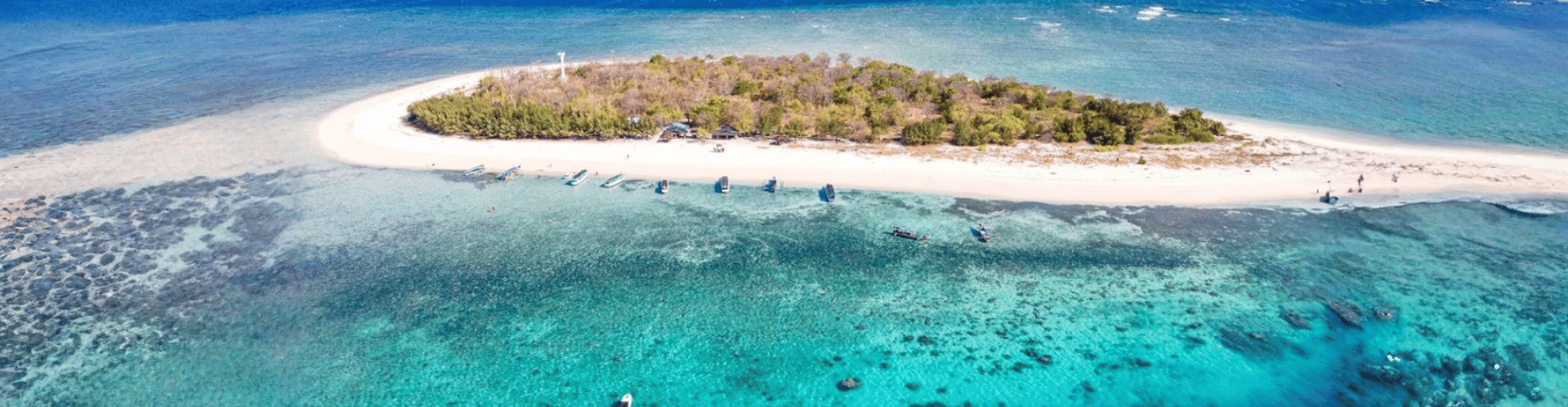 Menjangan, Indonesien