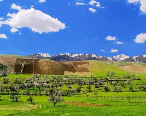 Persia Fascinante con Teheran y Rahst (2026)