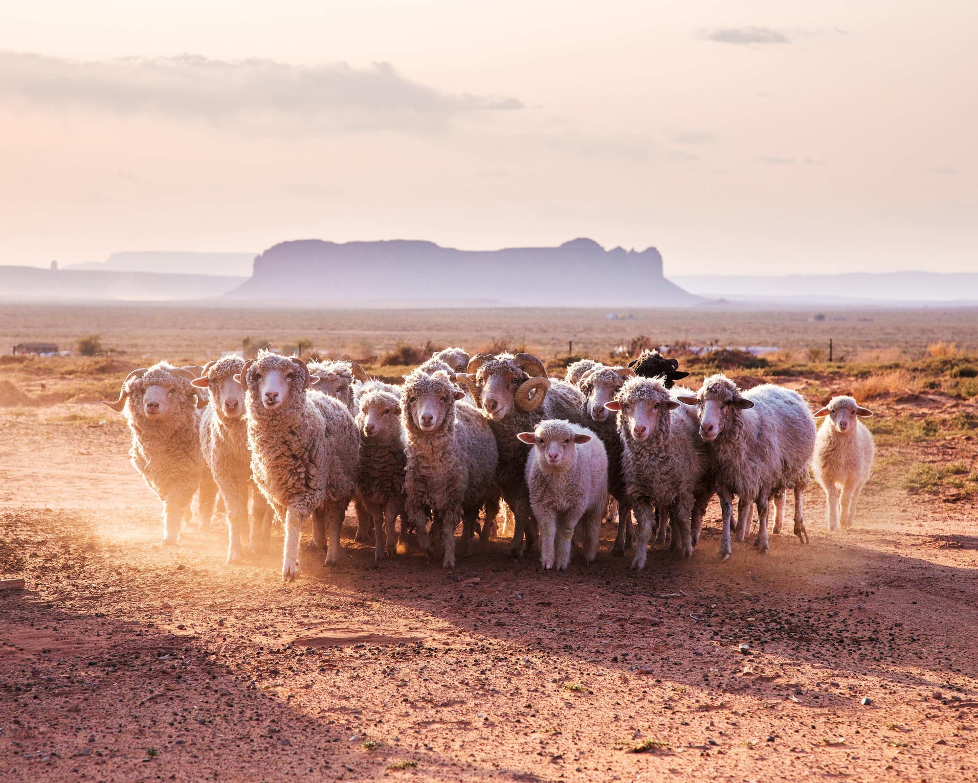 The Great West - Economy