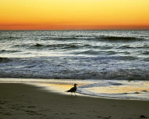 Circuit Magie de la Floride: De Miami à Key West