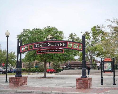 Under the Florida Sun