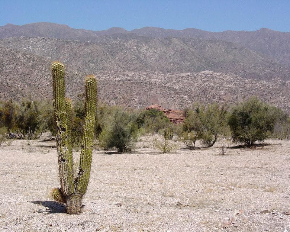 Antofagasta de la Sierra - Tierra de Volcanes & Salares