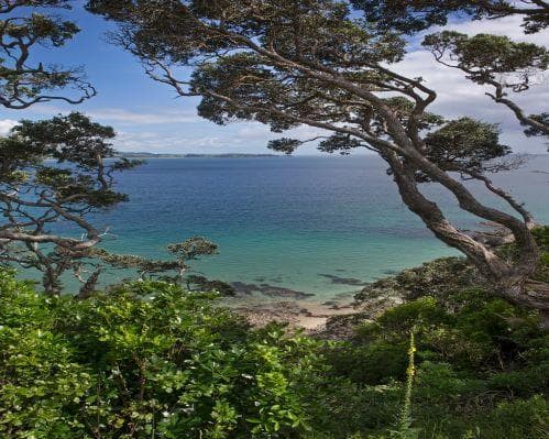 Tutukaka, New Zealand