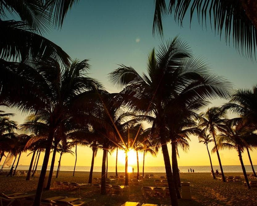 México Express - Salida Especial Catrinas y Día de Muertos