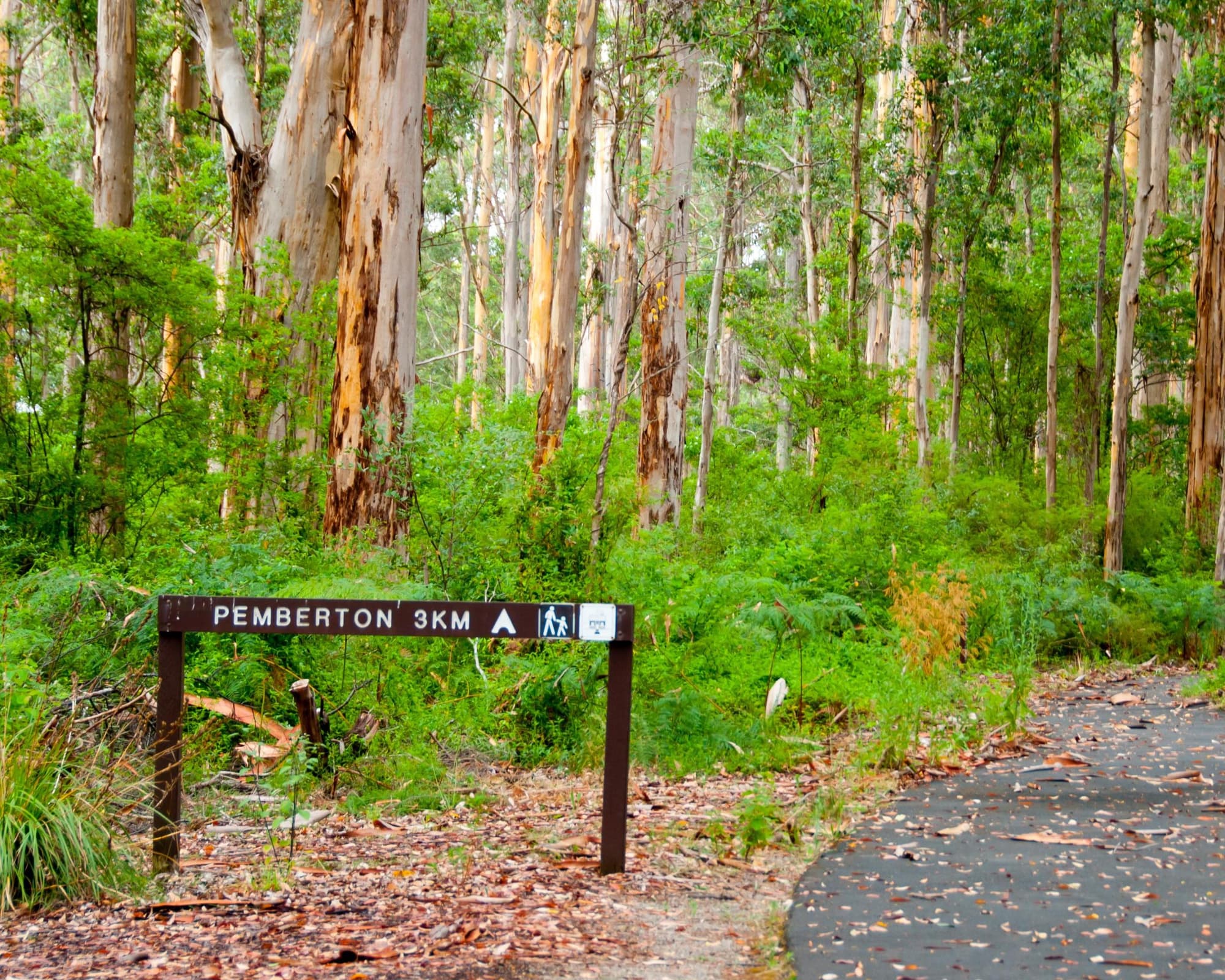 Pemberton, Australien