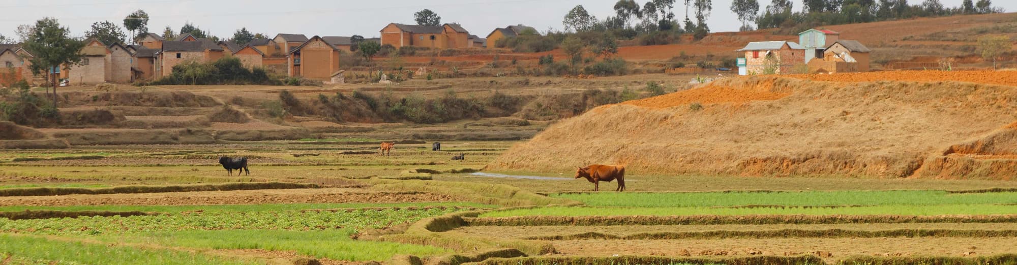 Ambatolampy, Madagascar