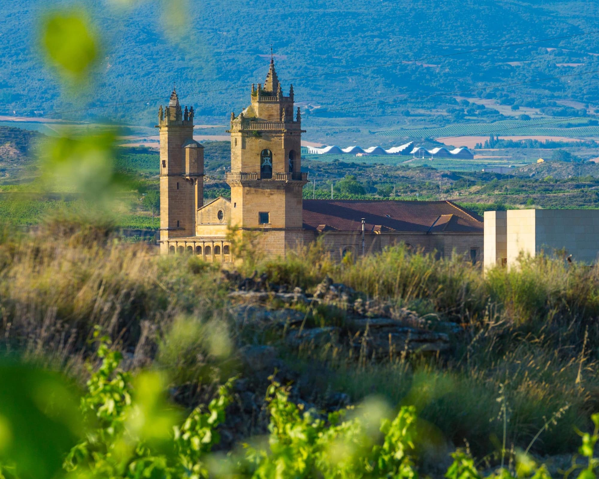 Rioja Alavesa, Spain