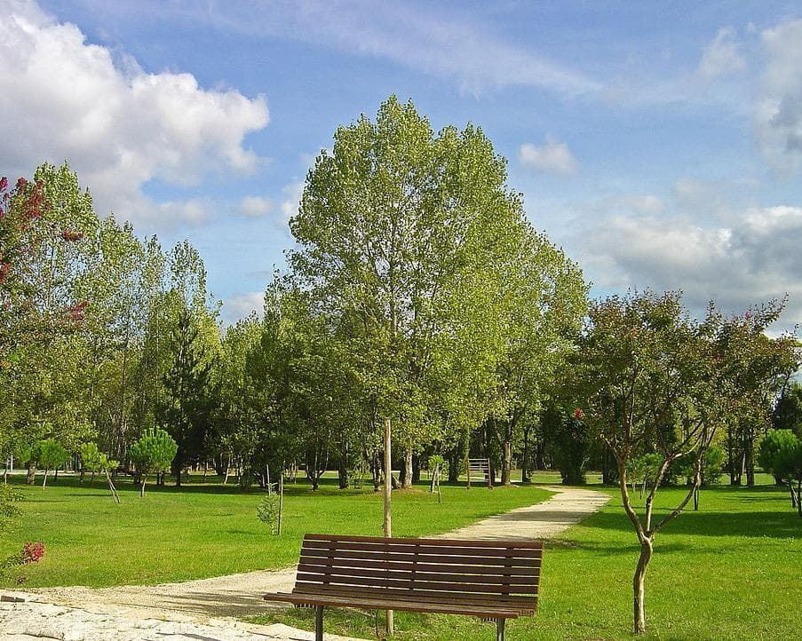 Hotel Termas da Curia - Just Wellness