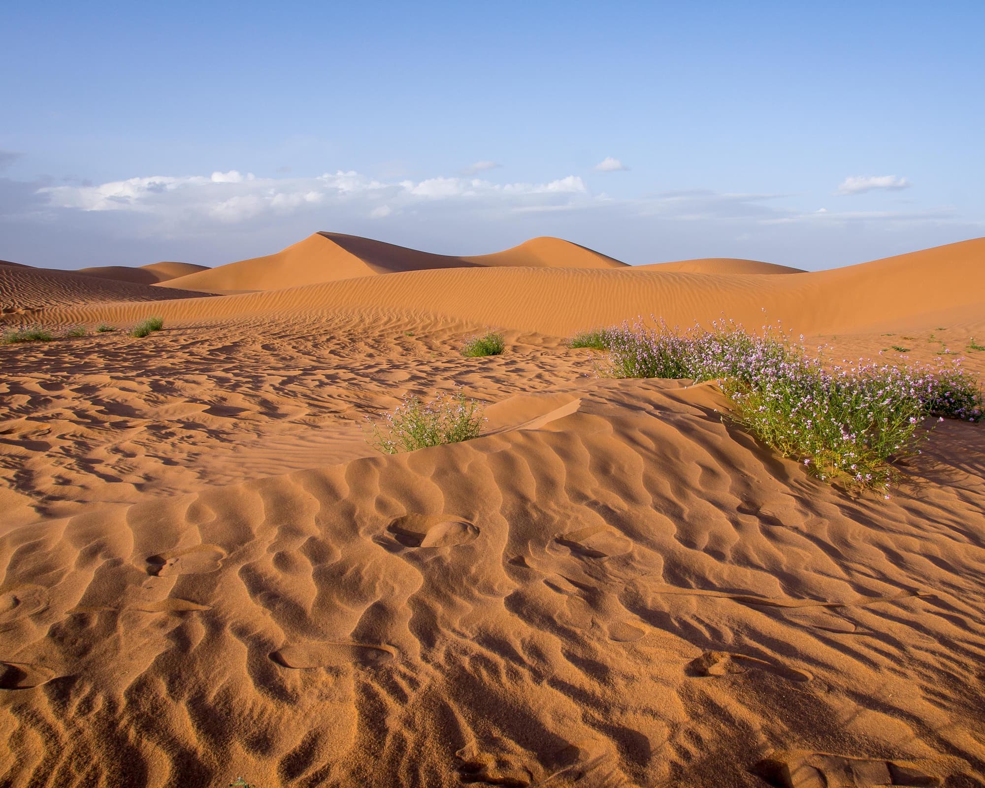 Complete Morocco: The Sahara to the Coast