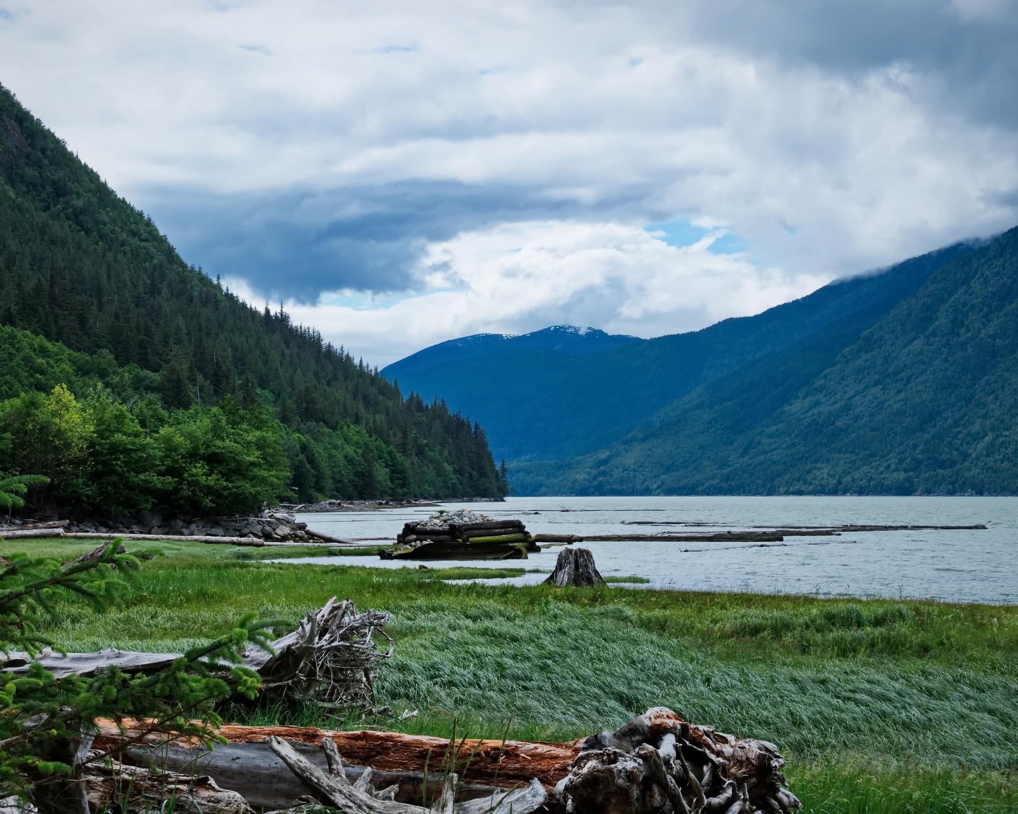 OSOS BELLA COOLA Y EL OSO GRIZZLY 4 DIAS 