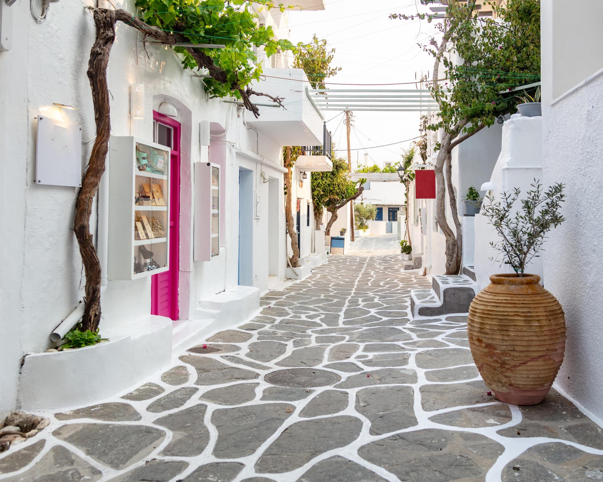 Sabor de las Cicladas