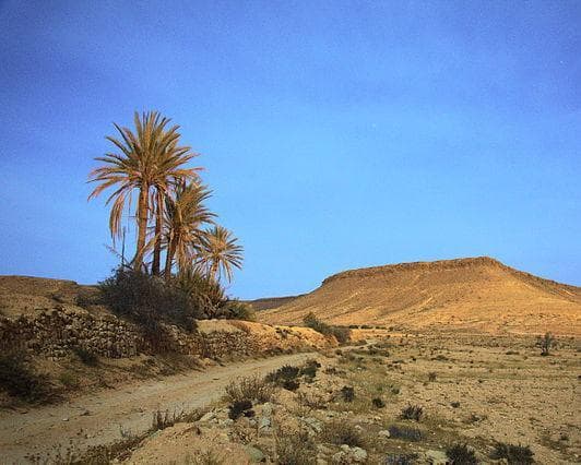 Circuit en Tunisie : entre soleil, désert et voile