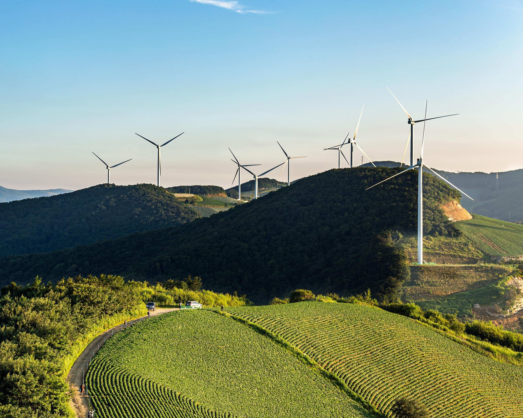 Corea del Sur Auténtica