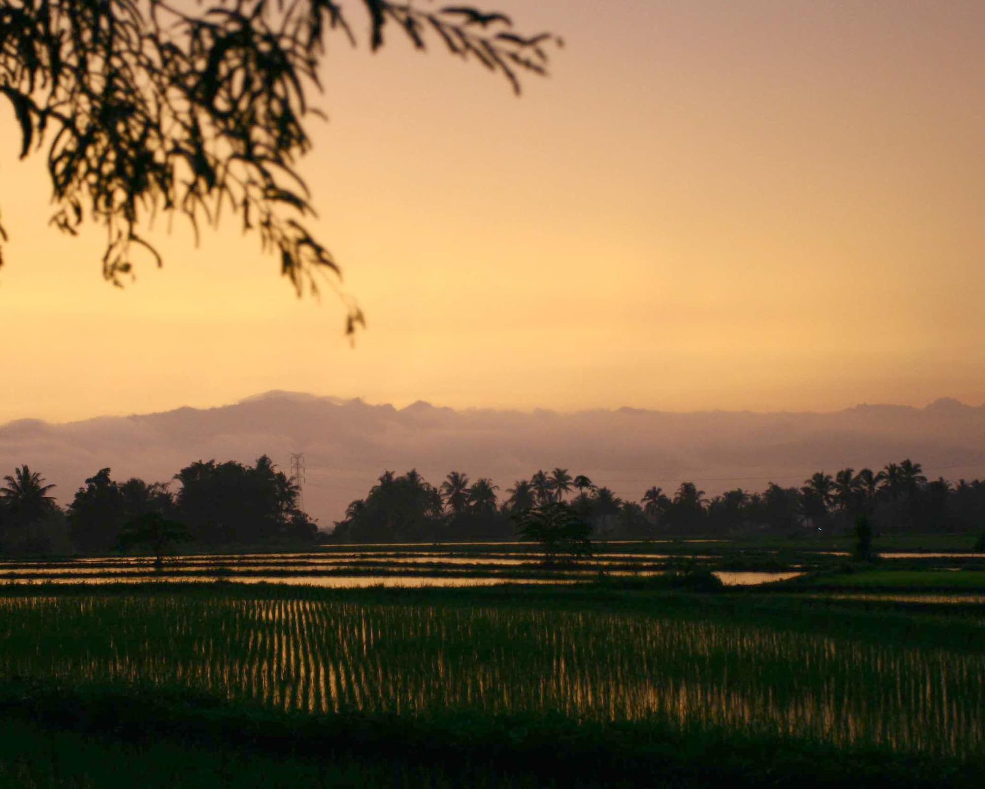 Selogriyo Hidden Temple