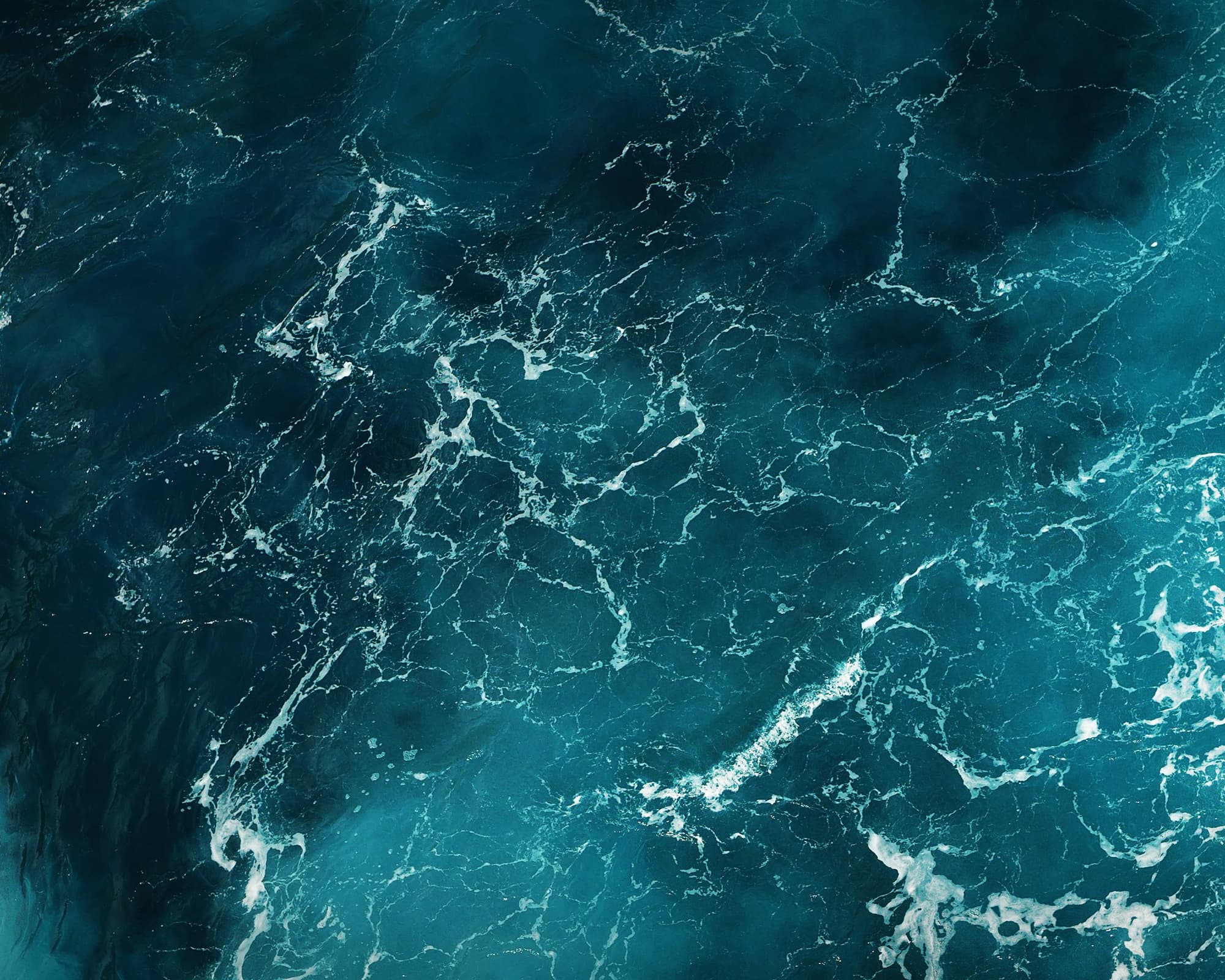 In Navigation Gdynia, Polonia