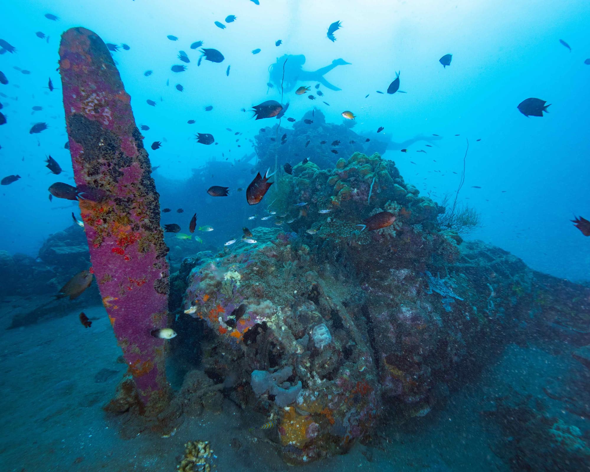 Honiara, Islas Salomón