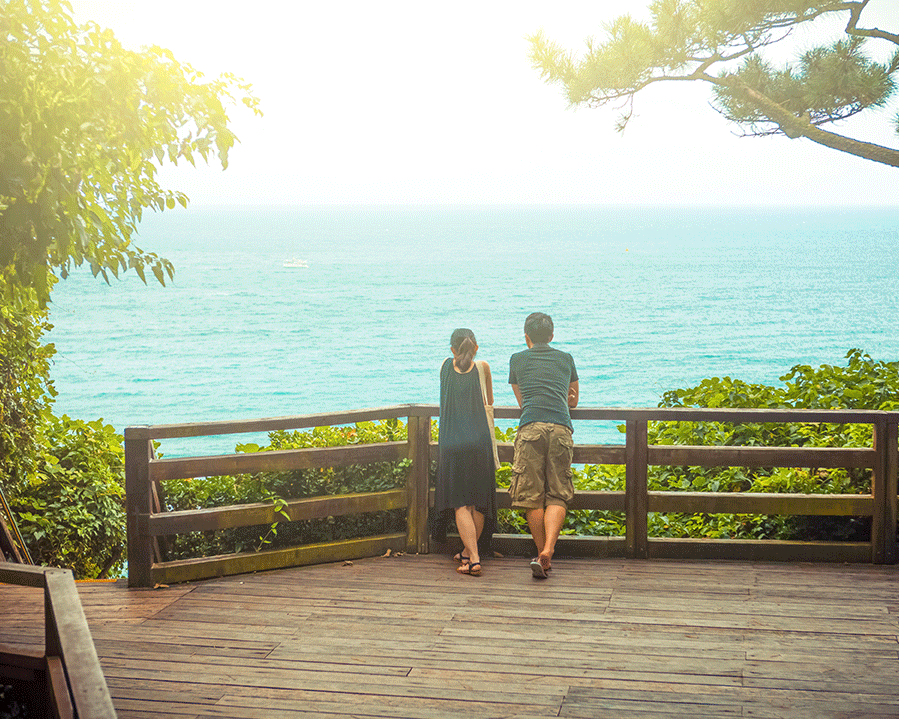 Festival de Flores de Cerezo