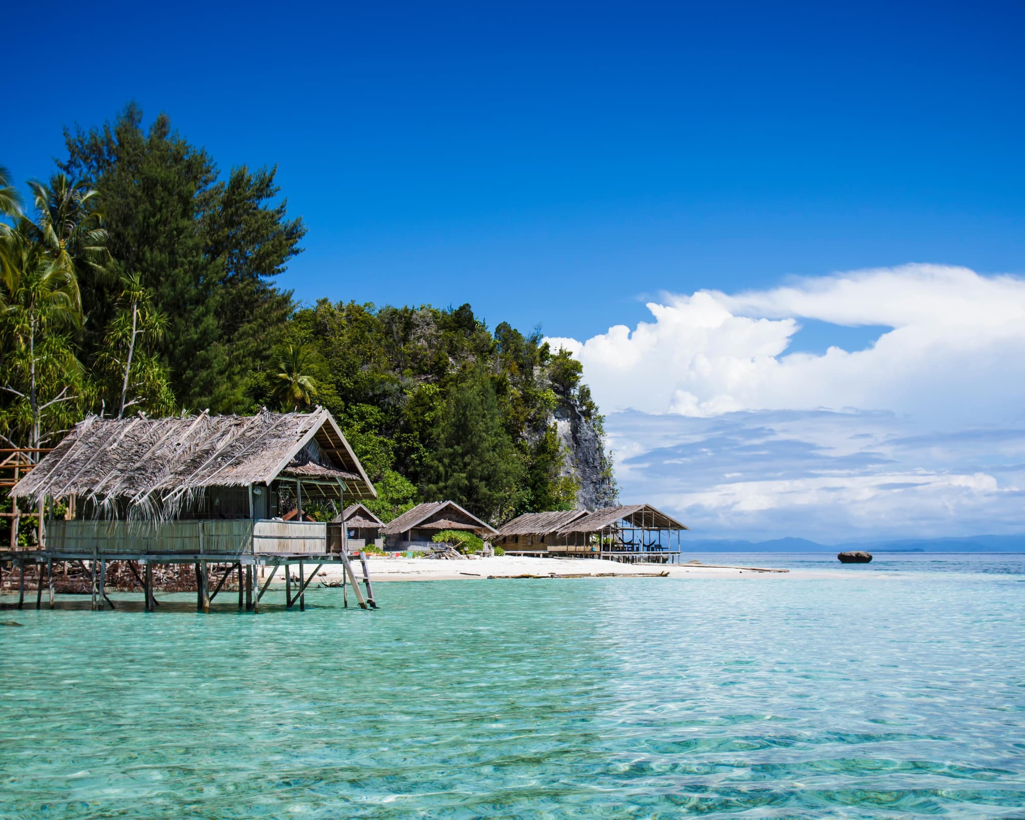 Dive Into Raja Ampat