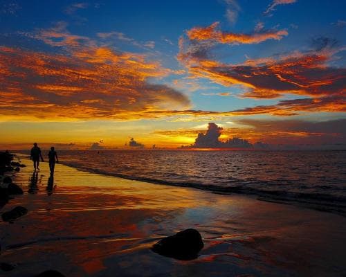 Cooking Lesson with Market Visit