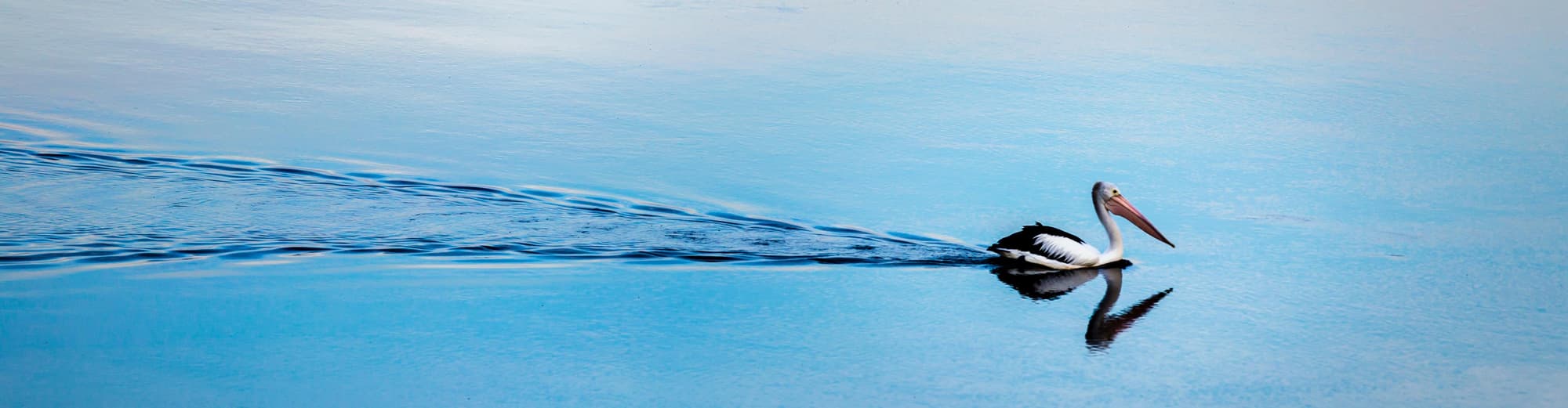 Mallacoota, Austrália