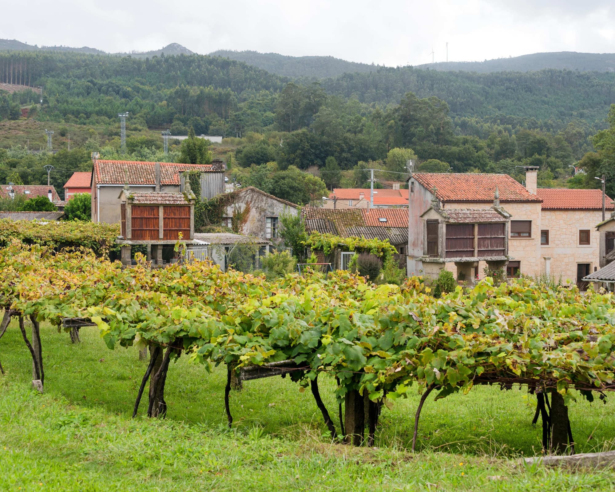 El Camino de Santiago   “De Oporto a Santiago por la Costa” 