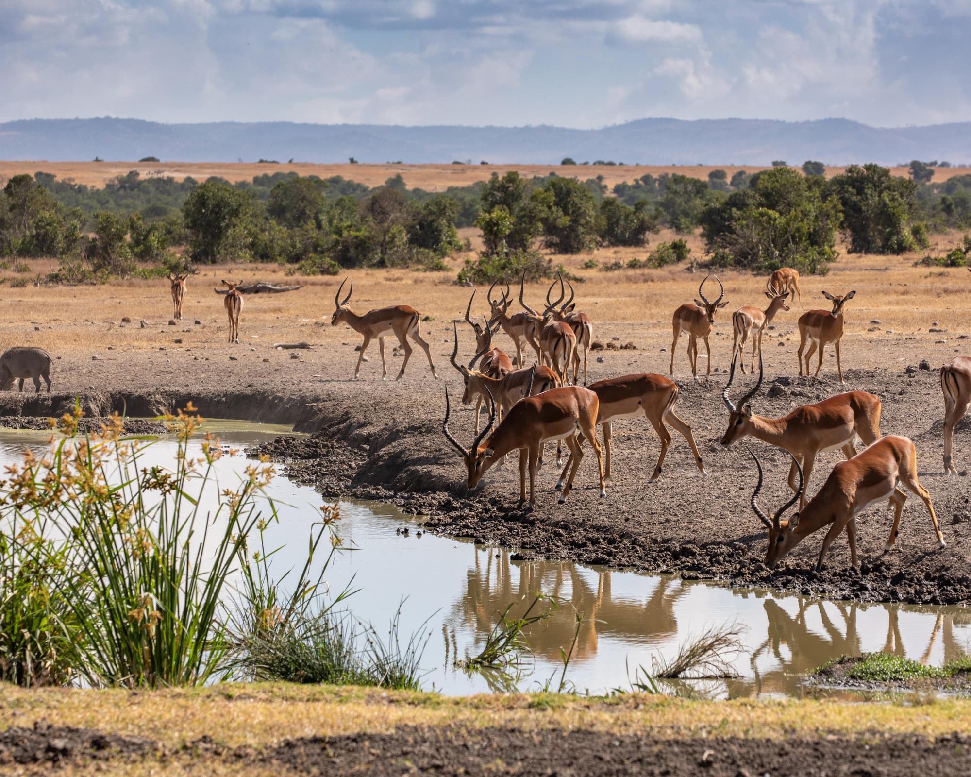 Active South Africa: Cape Town, Kruger & Tugela Falls