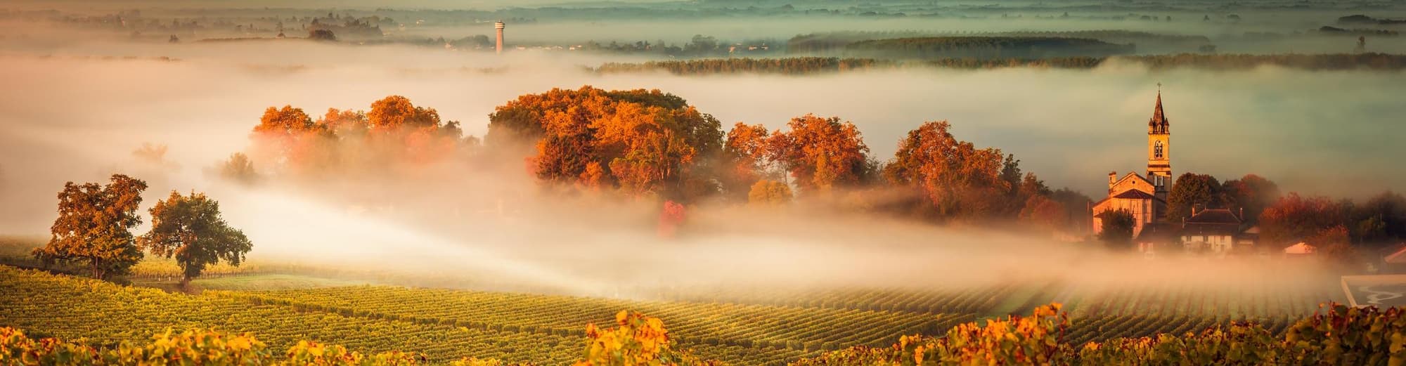 勒皮昂梅多克, 法国