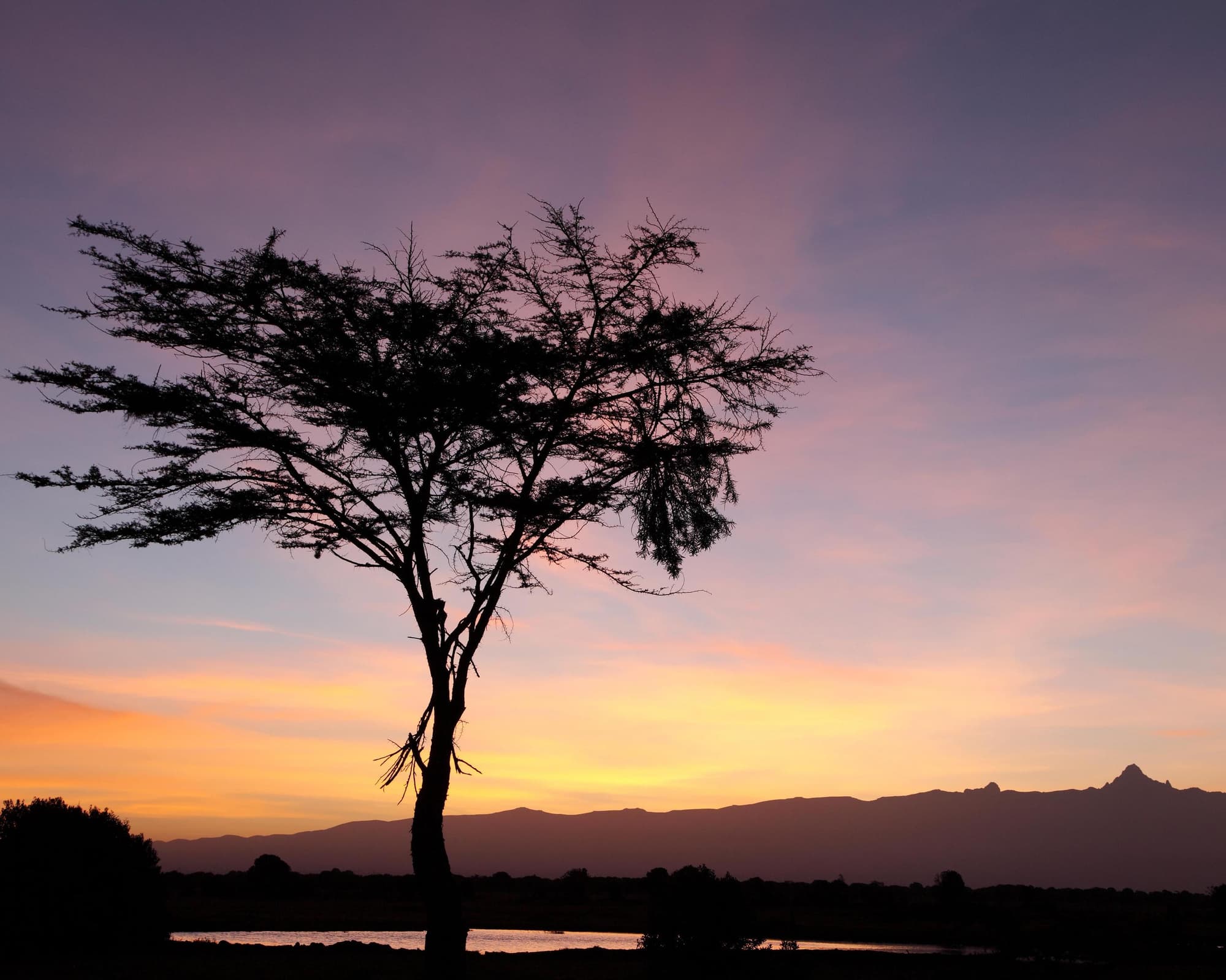 Ol Pejeta Conservancy, Kenya