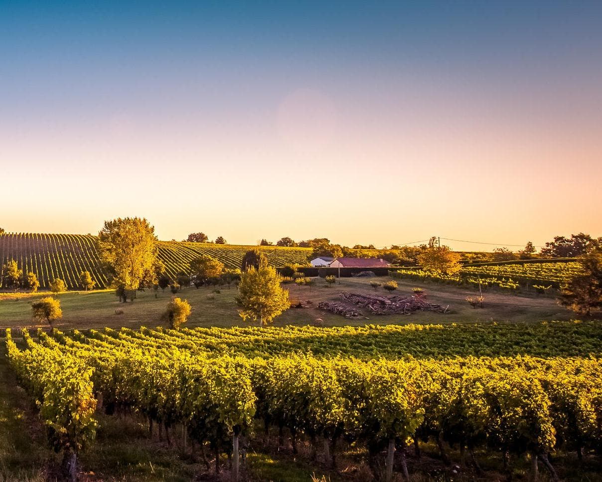 Bordeaux et sa région : itinéraire découverte