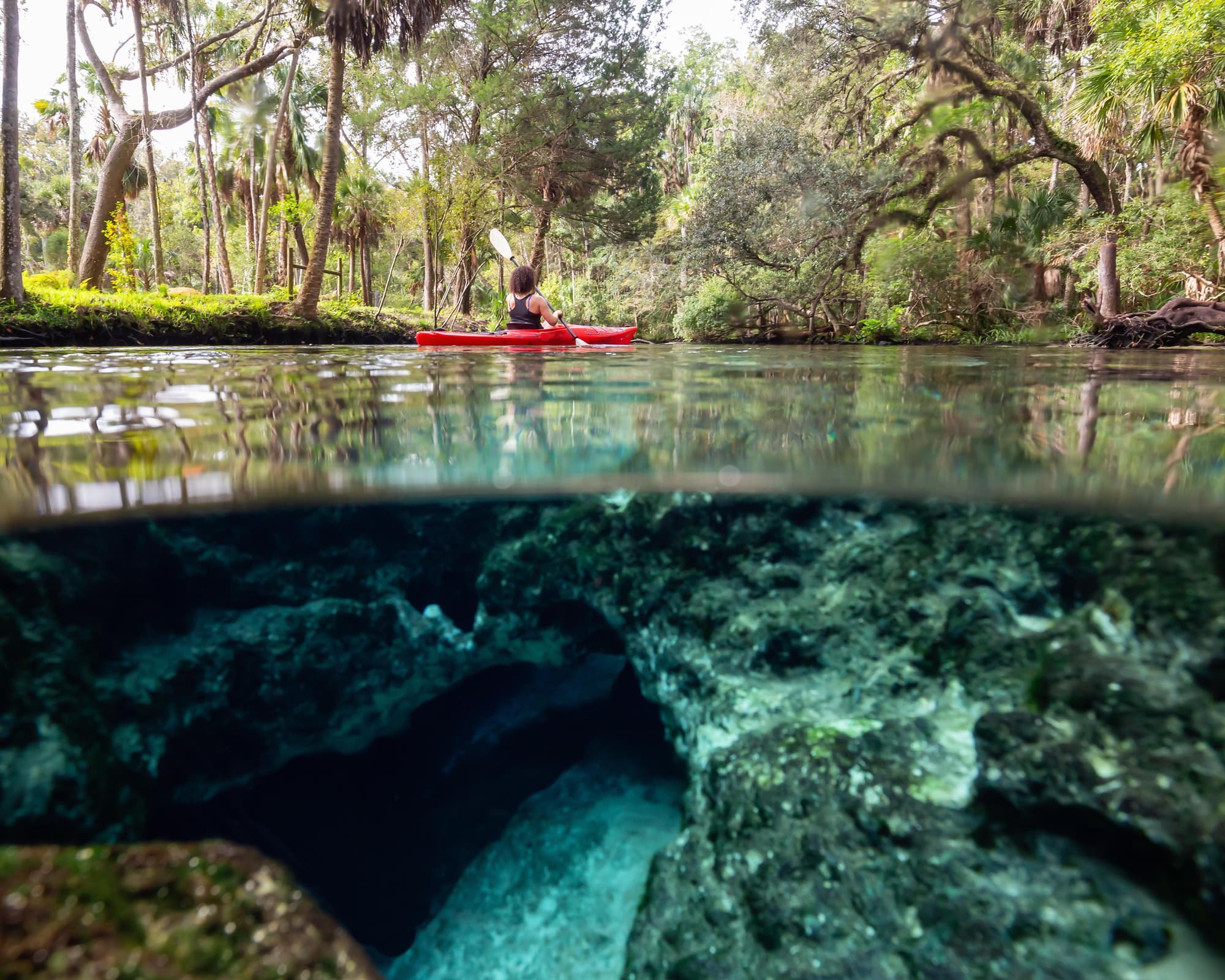 Homosassa, Stati Uniti d'America