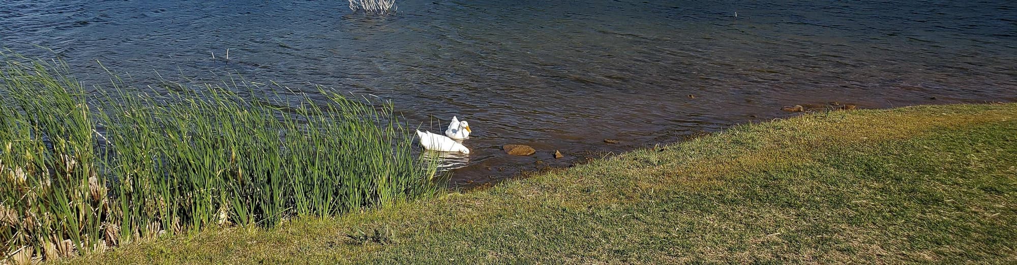 Graham TX, United States of America