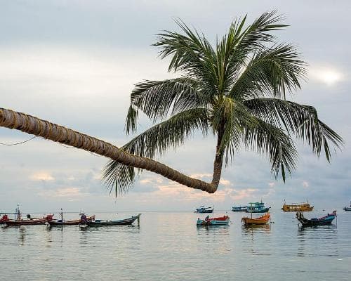 4 Giorni Tour del Sud - Alla scoperta della Malacca Siamese