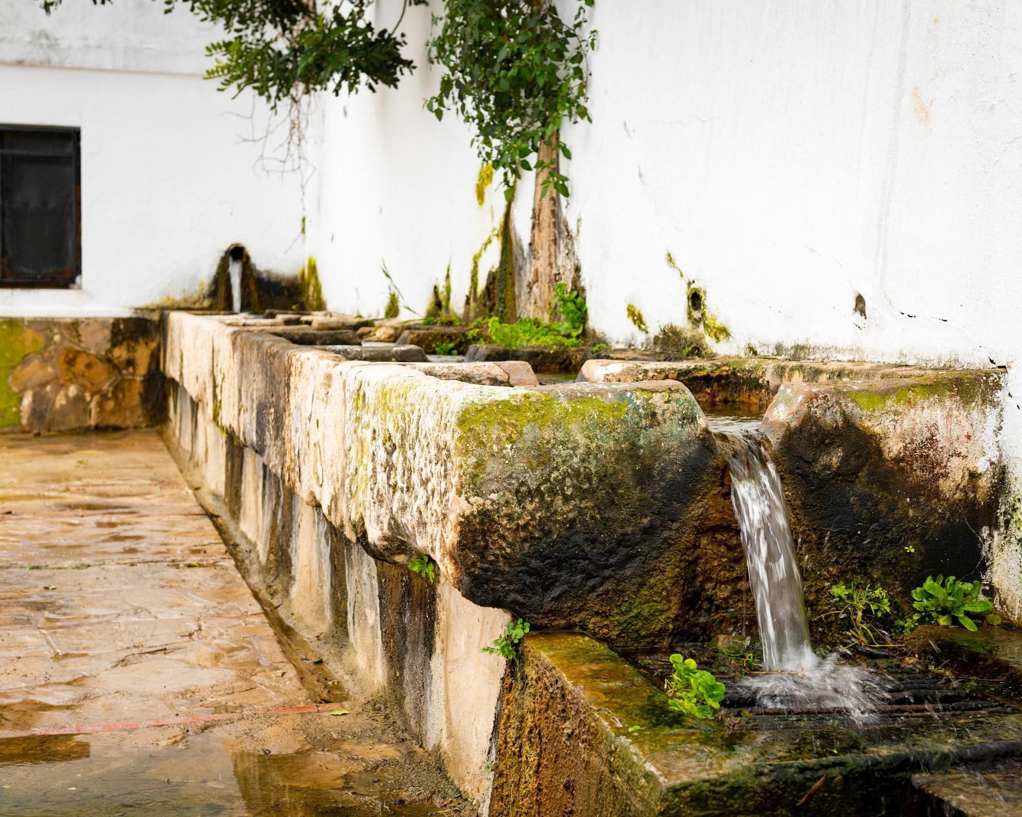 Alcalá de los Gazules, Espanha
