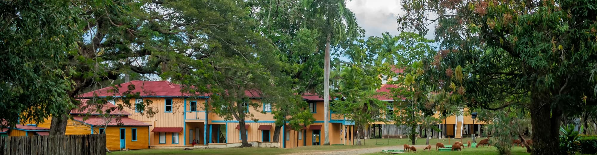 بیران, کوبا