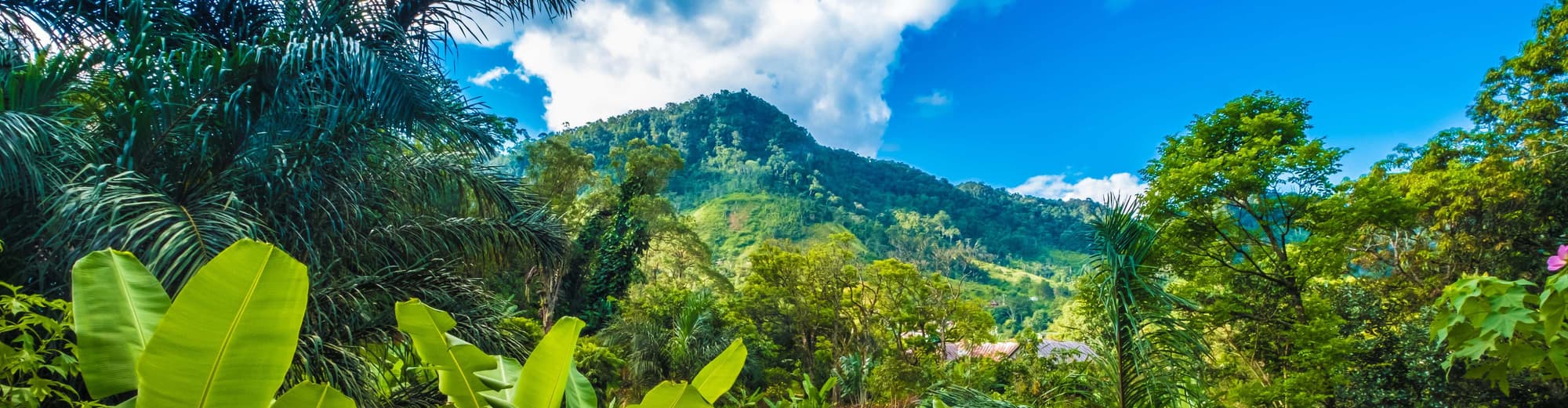 Montagne d'Ambre National Park, Madagascar