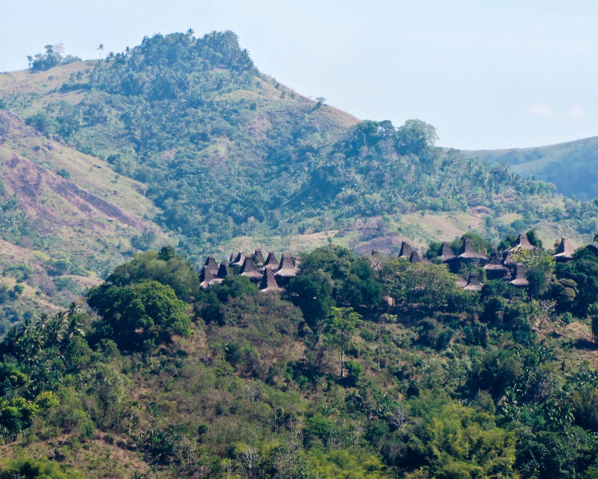 Indonesia: Lo spirito guerriero del popolo che venera i cavalli