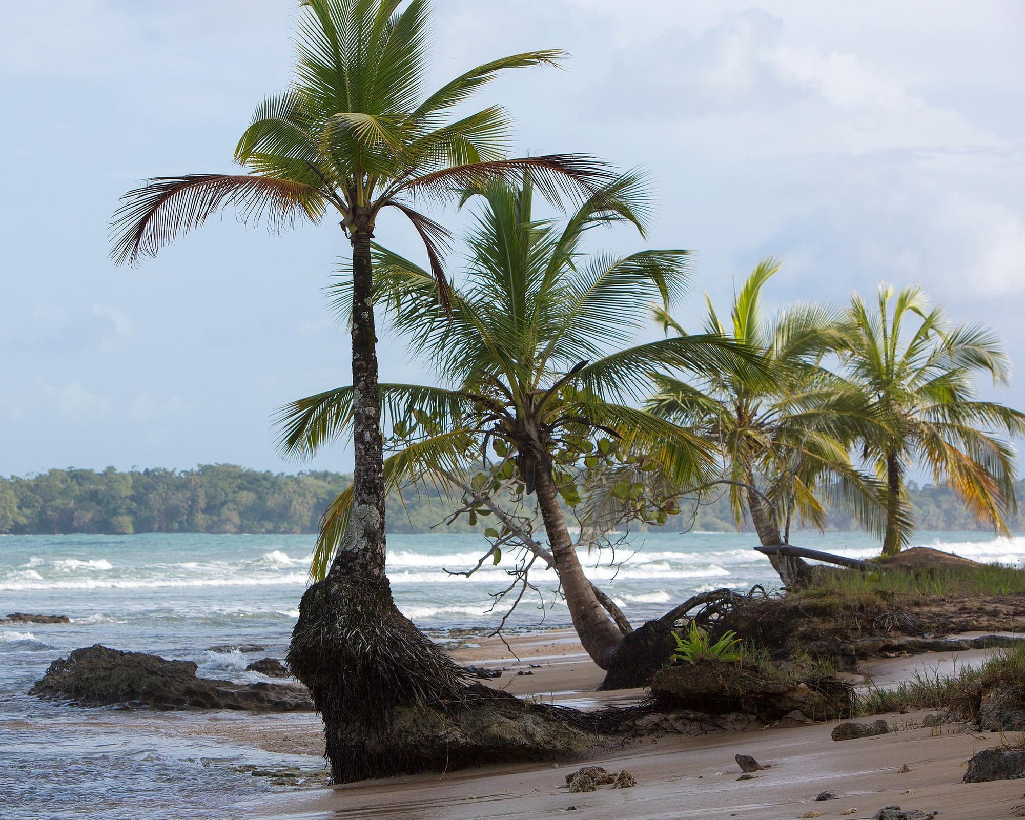 PANAMA ROMANTICO - ISLA GRANDE, COLON 2026