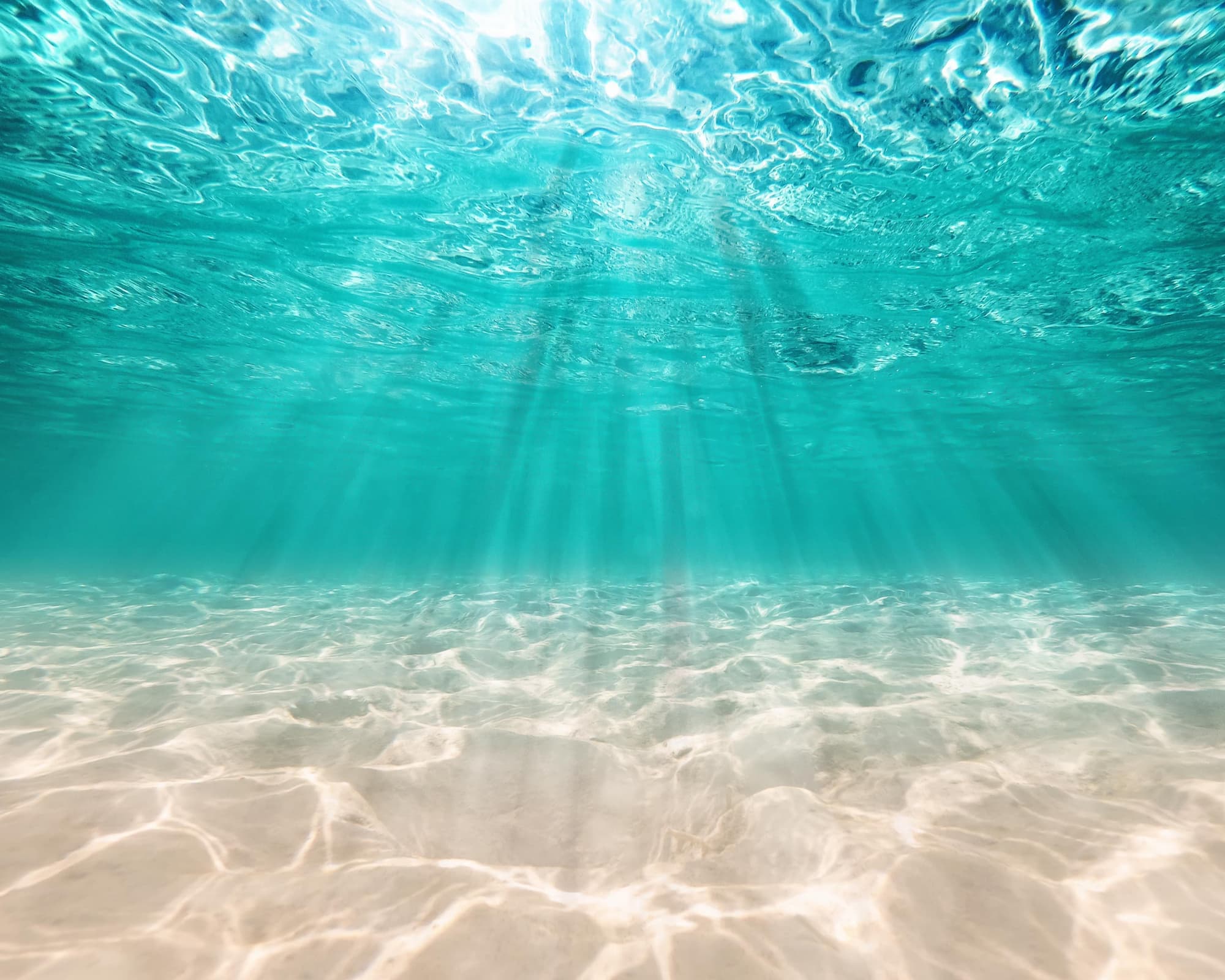 MTPE=20173 EGIPTO IMBATIBLE