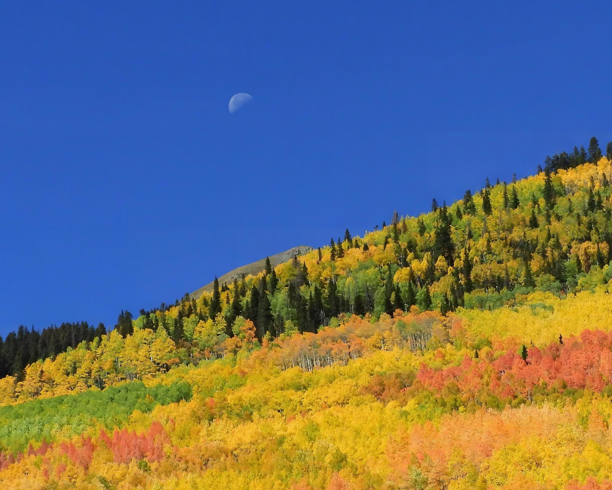 Ouray CO, Estados Unidos de América