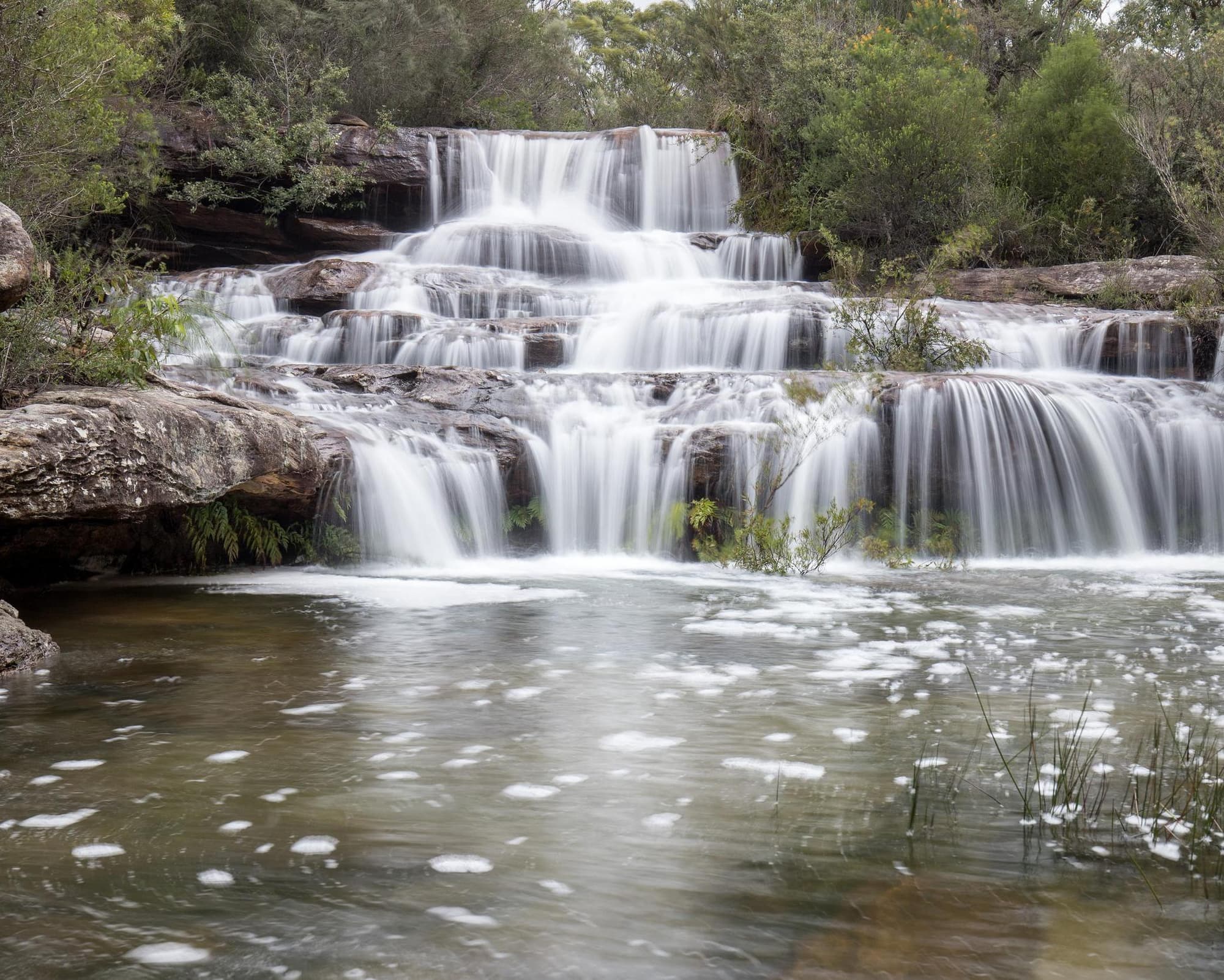 Royal national park, Australien