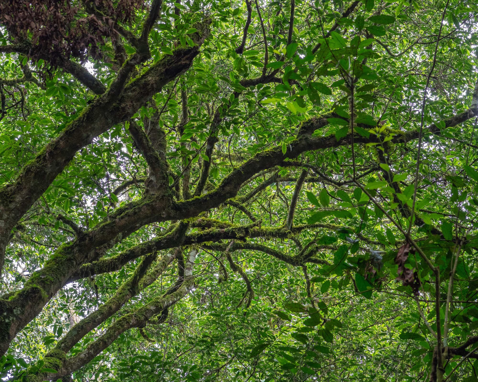 Uganda to Tanzania Overland Safari with Participation Camping