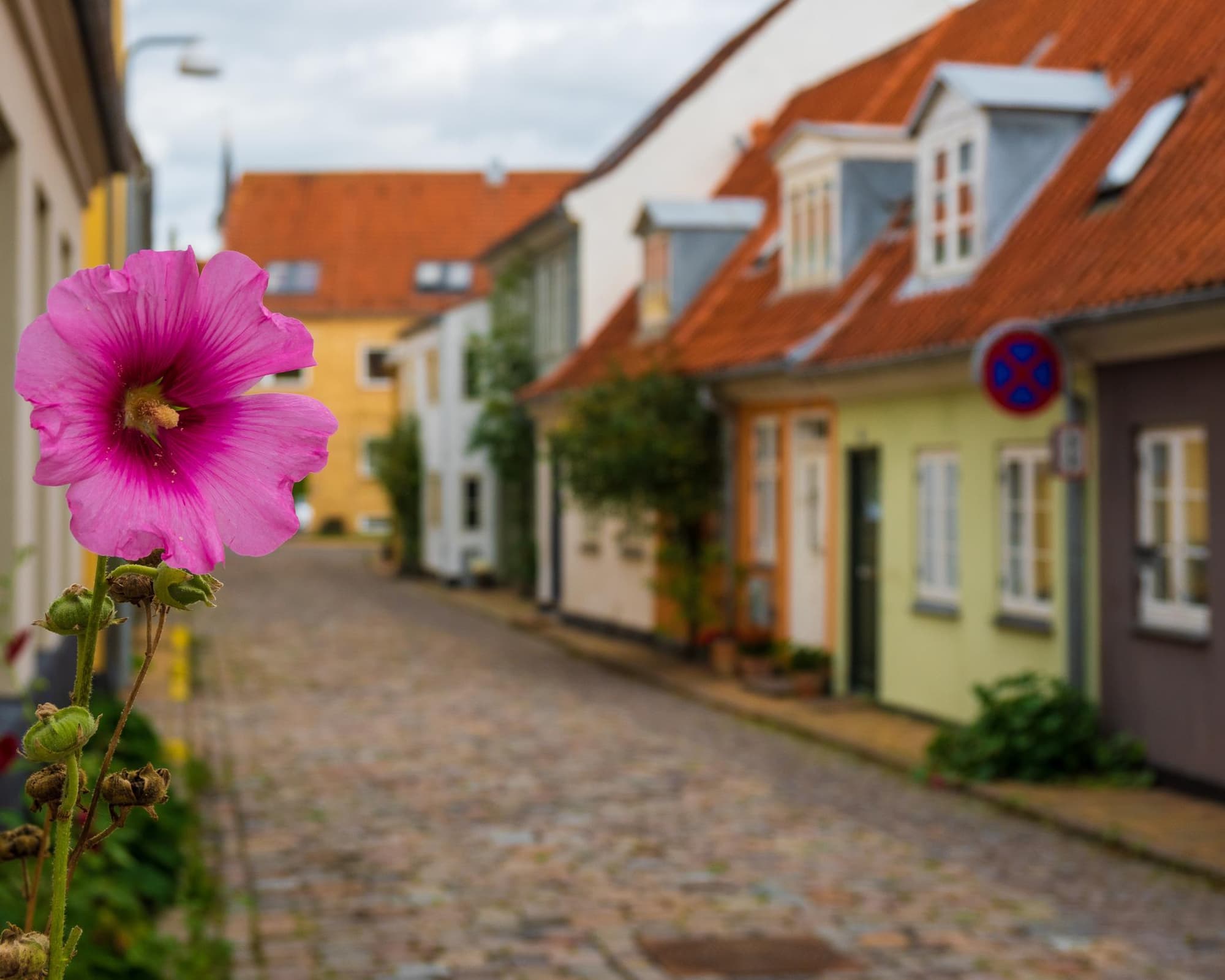 Autotour Vikings et Châteaux