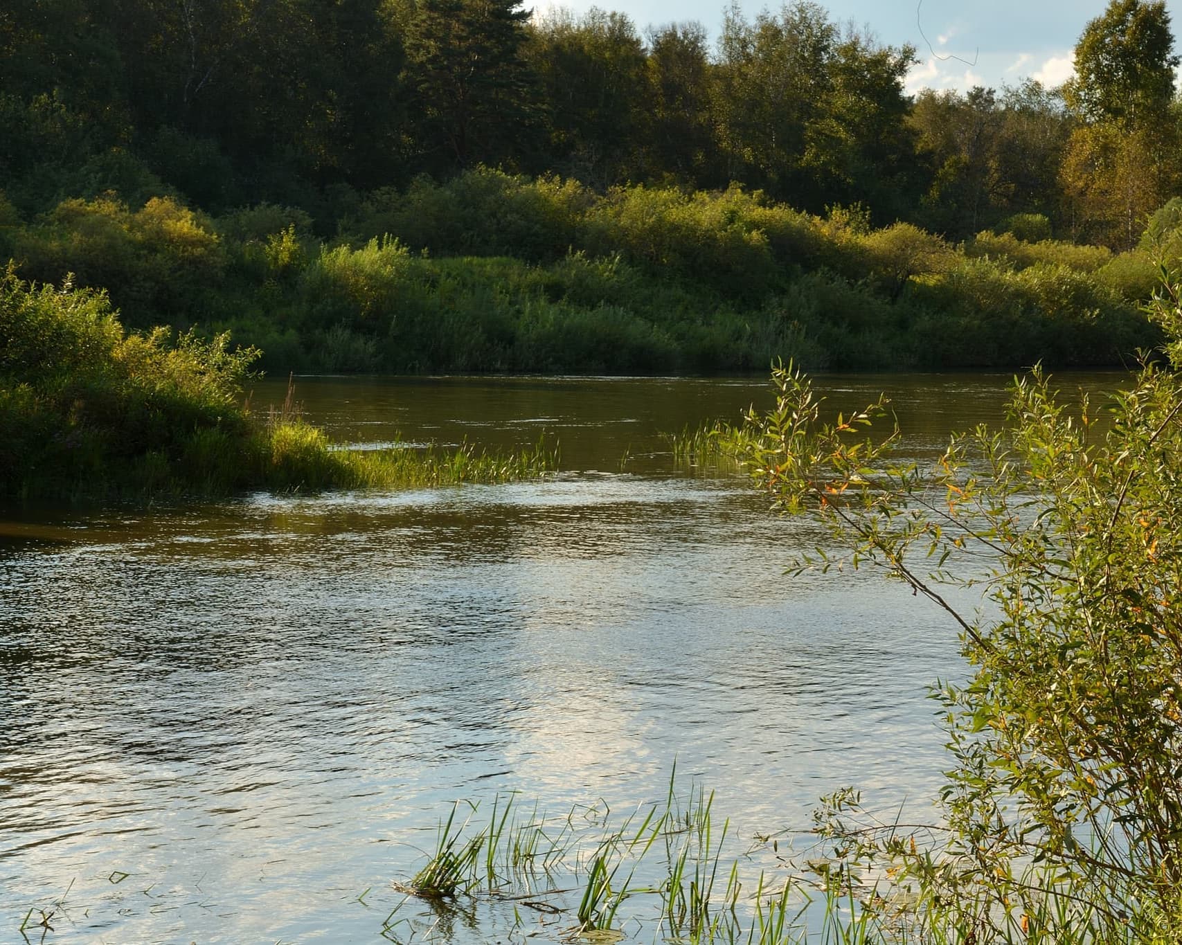 Bulgaria, entre rosas y aguas termales