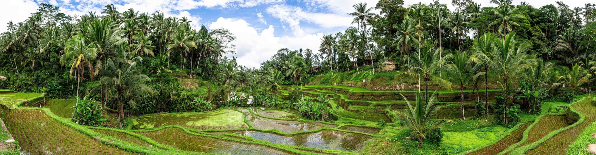 Tegallalang, Indonezia