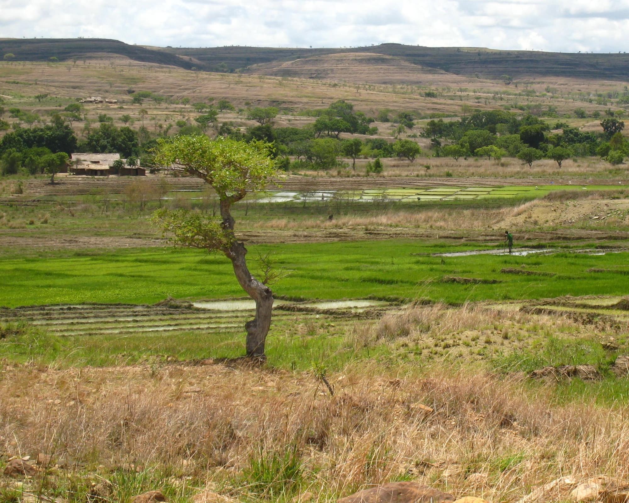 Highlights of Madagascar